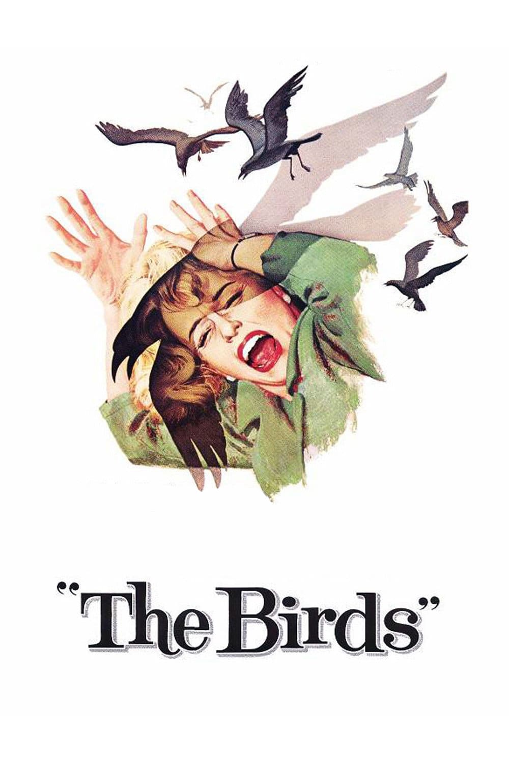 the birds